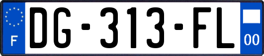 DG-313-FL