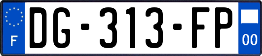 DG-313-FP