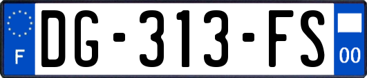 DG-313-FS