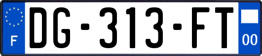 DG-313-FT