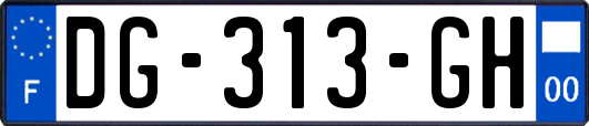 DG-313-GH