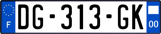 DG-313-GK