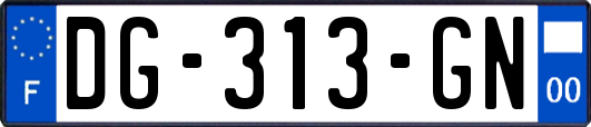 DG-313-GN