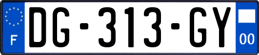 DG-313-GY