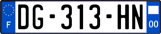 DG-313-HN