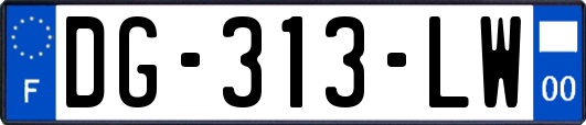 DG-313-LW