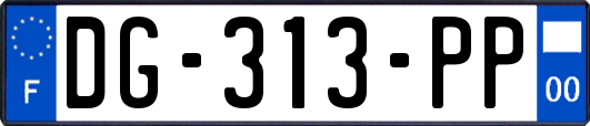 DG-313-PP