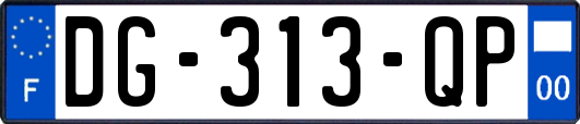 DG-313-QP