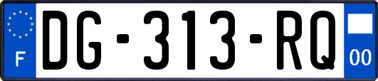 DG-313-RQ
