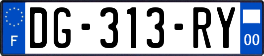 DG-313-RY