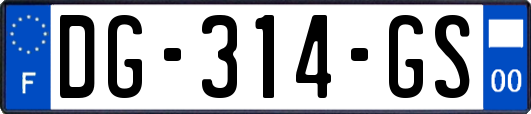 DG-314-GS