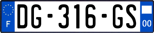 DG-316-GS