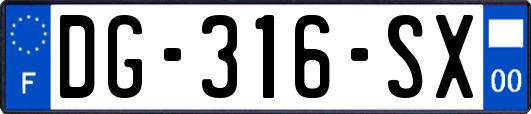 DG-316-SX