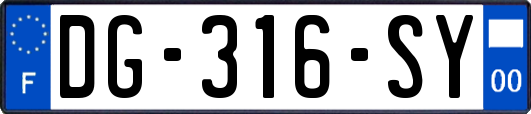 DG-316-SY