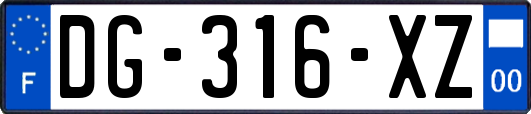 DG-316-XZ