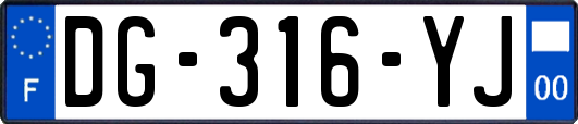 DG-316-YJ
