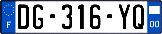 DG-316-YQ