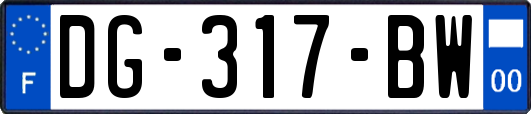 DG-317-BW