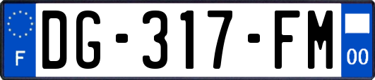 DG-317-FM