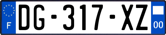 DG-317-XZ