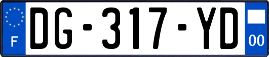 DG-317-YD