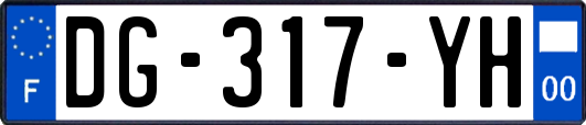 DG-317-YH
