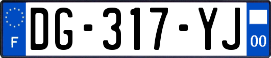 DG-317-YJ