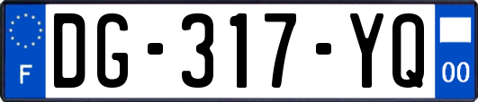 DG-317-YQ