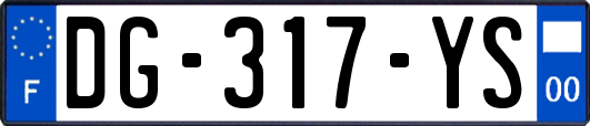 DG-317-YS