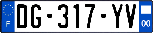 DG-317-YV
