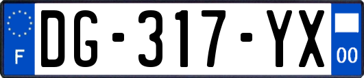 DG-317-YX