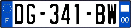 DG-341-BW