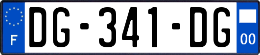 DG-341-DG