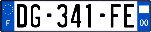 DG-341-FE