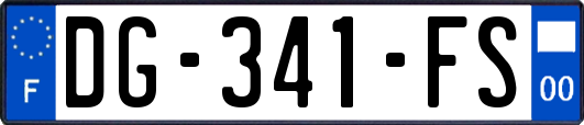 DG-341-FS