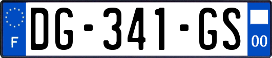 DG-341-GS