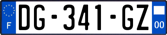 DG-341-GZ