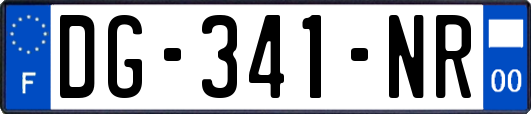 DG-341-NR