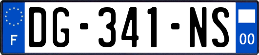 DG-341-NS