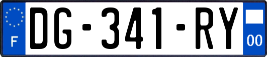 DG-341-RY
