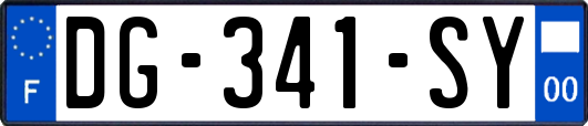 DG-341-SY