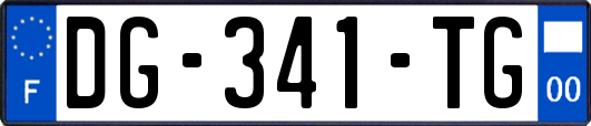 DG-341-TG