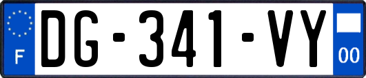 DG-341-VY