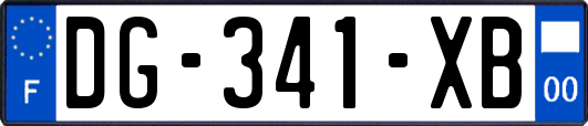 DG-341-XB