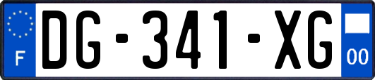 DG-341-XG