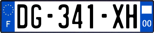 DG-341-XH