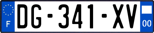 DG-341-XV