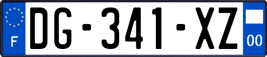 DG-341-XZ