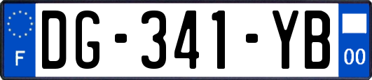 DG-341-YB