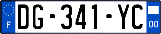DG-341-YC